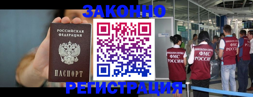 прописка поиск в Светлогорске