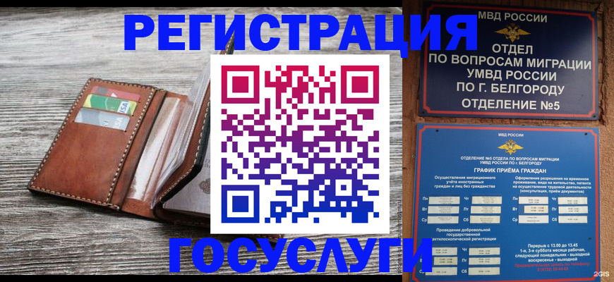 временная регистрация гарантия в Светлогорске